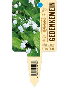 Omphalodes verna 'Alba', Bildstecketikett VS: