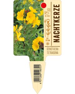 Oenotheratetragona, Bildstecketikett VS: