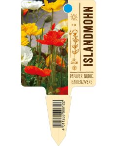Papaver nudicaule 'Gartenzwerg', Bildstecketikett VS: