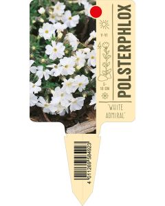 'WhiteAdmiral', Bildstecketikett VS: