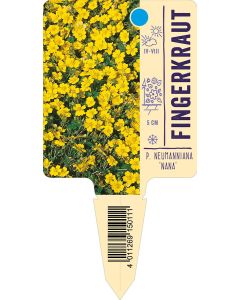 P. neumanniana 'Nana', Bildstecketikett VS: