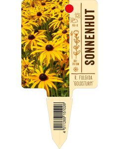 R. fulgida 'Goldsturm', Bildstecketikett VS: