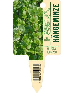 Satureja douglasii, Bildstecketikett VS: