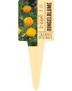 Calendula officinalis, Bildstecketikett VS: