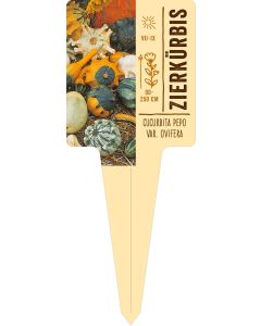 Cucurbita pepo var. ovifera, Bildstecketikett VS: