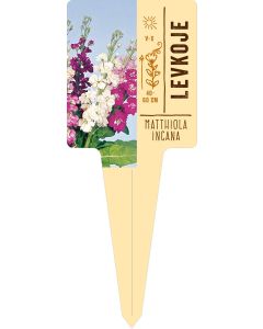 Matthiola incana, Bildstecketikett VS: