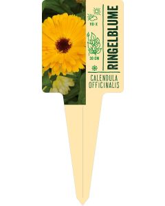 Calendula officinalis, Bildstecketikett VS: