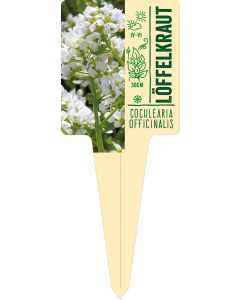 Cochlearia, Bildstecketikett VS: