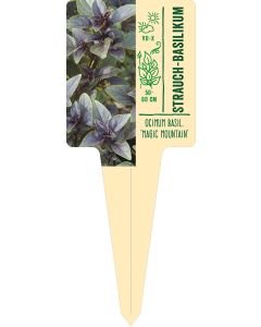 Ocimum basil. 'Magic Mountain', Bildstecketikett VS: