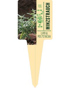 Lippia polystacha, Bildstecketikett VS: