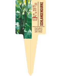 Cucumis sativus, Bildstecketikett VS: