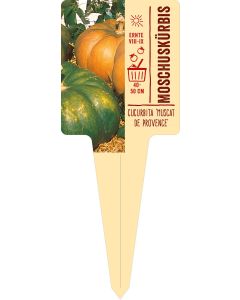 Cucurbita 'Muscat de Provence', Bildstecketikett VS: