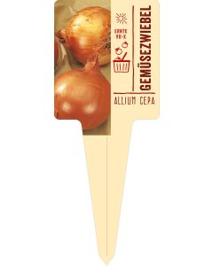 Allium cepa, Bildstecketikett VS: