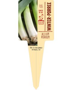 Allium porrum, Bildstecketikett VS: