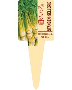 Apium graveolens var. dulce, Bildstecketikett VS: