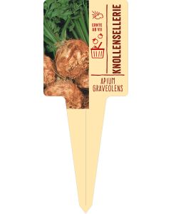 Apium graveolens, Bildstecketikett VS: