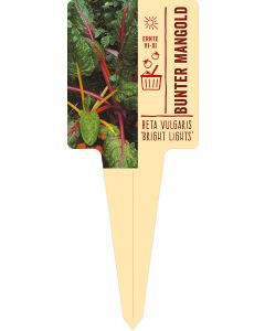 Beta vulgaris 'Bright Lights', Bildstecketikett VS: