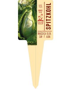 Brassica oler. cap. f. alba, Bildstecketikett VS: