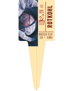 Brassica oler. cap. f. rubra, Bildstecketikett VS: