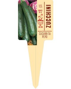 Cucurbita pepo var., Bildstecketikett VS: