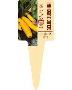 Cucurbita pepo var., Bildstecketikett VS: