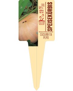 Cucurbita pepo, Bildstecketikett VS: