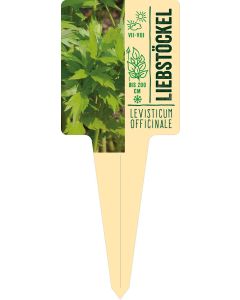 Levisticum officinale, Bildstecketikett VS: