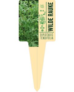 Diplotaxis tenuifolia, Bildstecketikett VS: