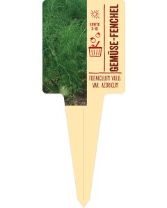 Foeniculum vulg. var. azoricum, Bildstecketikett VS: