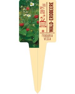 Fragaria vesca, Bildstecketikett VS: