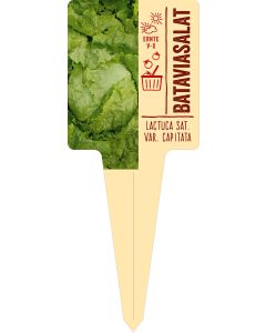 Lactuca sat. var. capitata, Bildstecketikett VS: