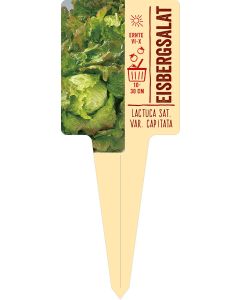 Lactuca sat. var. capitata, Bildstecketikett VS: