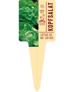Lactuca sat. var. capitata, Bildstecketikett VS: