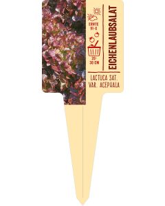 Lactuca sat. var. crispa, Bildstecketikett VS: