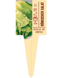 Lactuca sat. var. longifolia, Bildstecketikett VS: