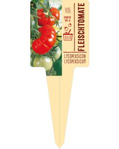 Lycopersicon lycopersicum, Bildstecketikett VS: