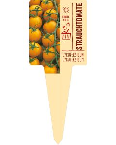 Lycopersicon lycopersicum, Bildstecketikett VS: