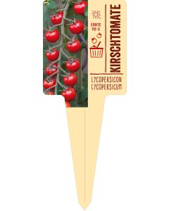 Lycopersicon lycopersicum, Bildstecketikett VS: