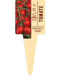 Lycopersicon lyc. 'Romadori', Bildstecketikett VS: