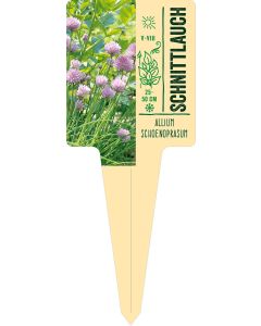 Allium schoenoprasum, Bildstecketikett VS: