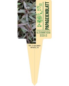 Alternanthera sessilis, Bildstecketikett VS: