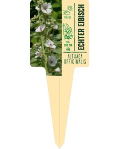 Althaea officinalis, Bildstecketikett VS: