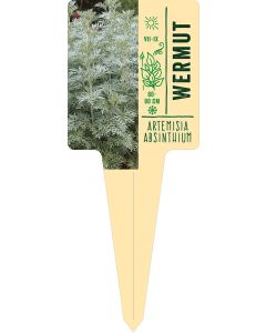 Artemisia absinthium, Bildstecketikett VS: