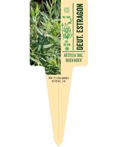 Artemisia drac. 'Baden-Baden', Bildstecketikett VS: