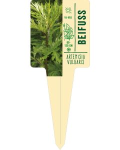 Artemisia vulgaris, Bildstecketikett VS: