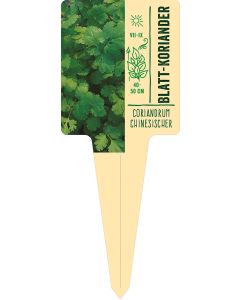 Coriandrum Chinesischer , Bildstecketikett VS: