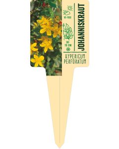 Hypericum perforatum, Bildstecketikett VS: