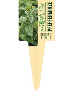 Mentha x piperita, Bildstecketikett VS: