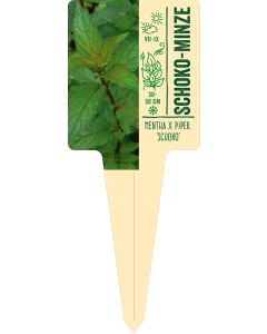 Mentha x piperita 'Schoko', Bildstecketikett VS: