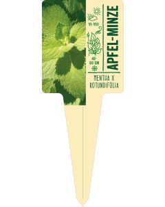 Mentha x rotundifolia, Bildstecketikett VS: